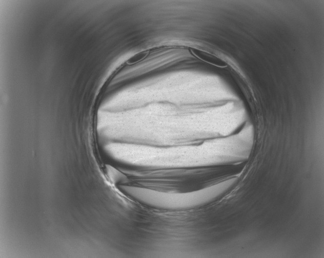 X0000080121048200612302005