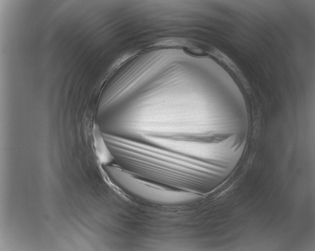 X0000080121049200612302005