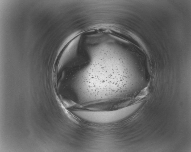 X0000080121050200612302005