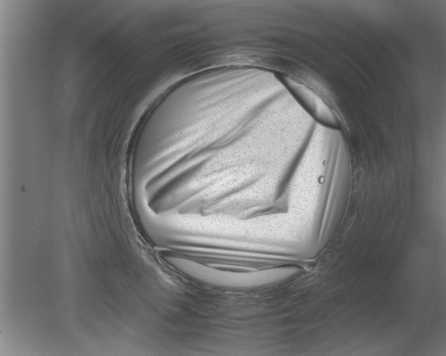 X0000080121051200612302005