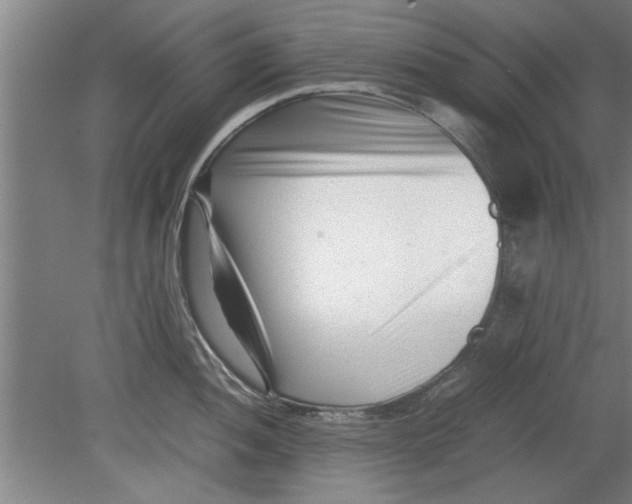 X0000080121052200612302005