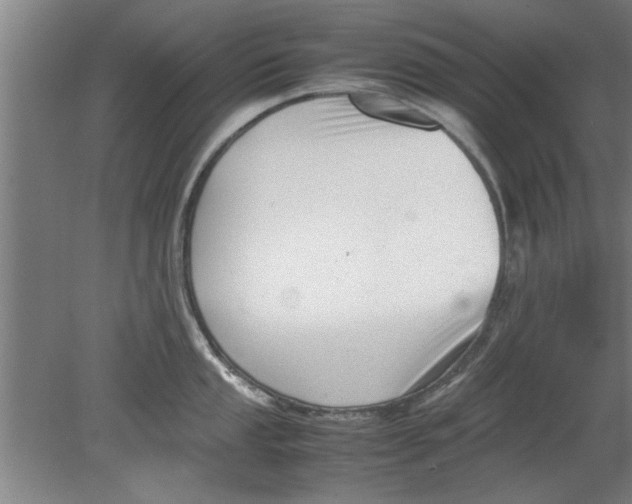 X0000080121053200612302005