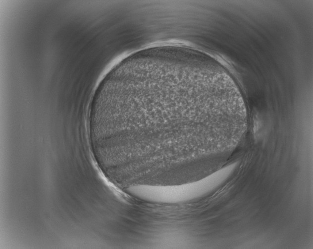 X0000080121054200612302005