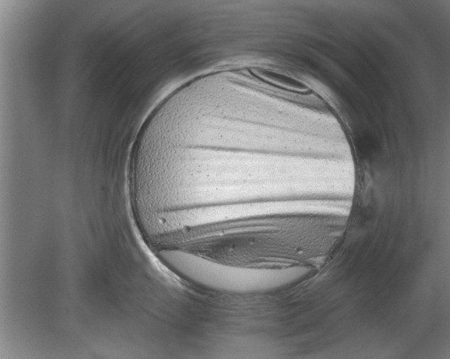 X0000080121055200612302005