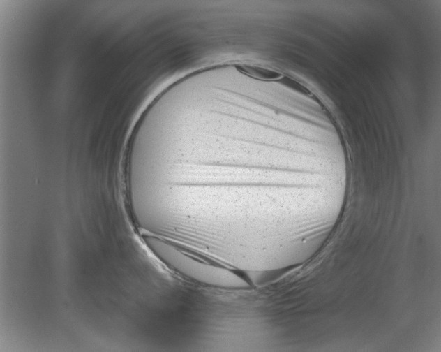 X0000080121056200612302005