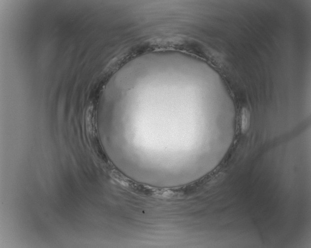 X0000080121059200612302004