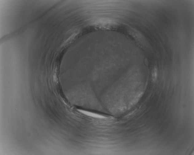 X0000080121060200612302004