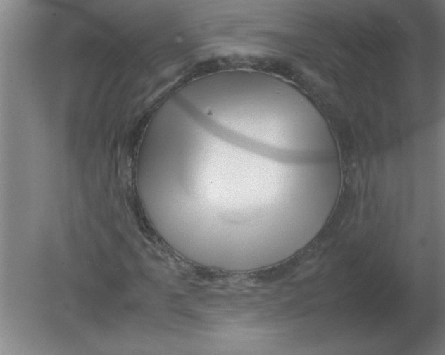 X0000080121061200612302004