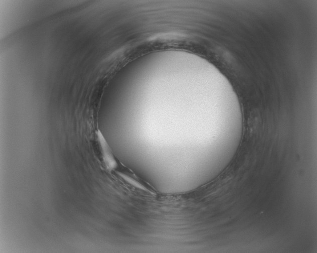 X0000080121062200612302004