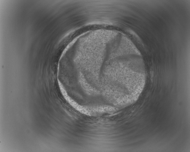 X0000080121064200612302004