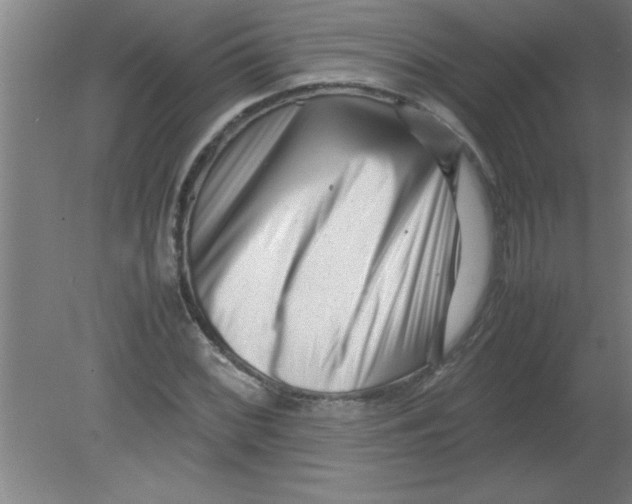 X0000080121068200612302004