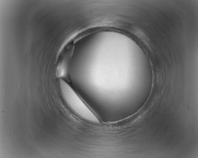 X0000080121069200612302004