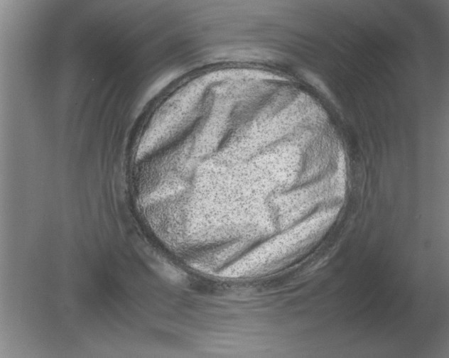 X0000080121071200612302004