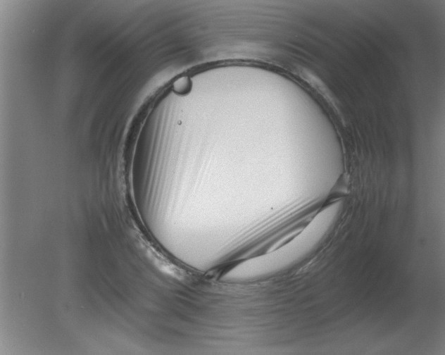 X0000080121072200612302004