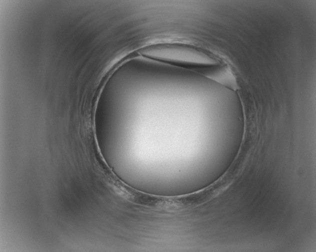 X0000080121073200612302004