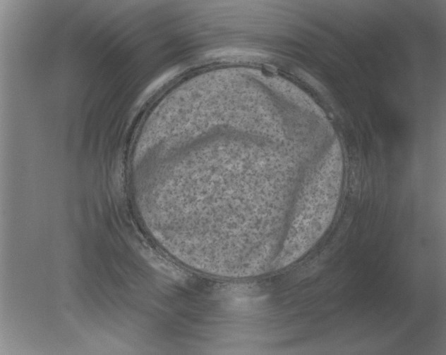 X0000080121074200612302004