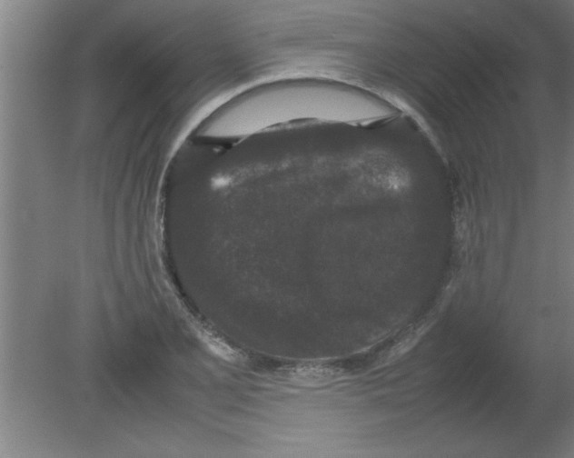 X0000080121077200612302004