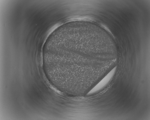 X0000080121079200612302004