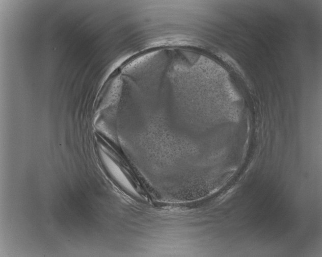 X0000080121081200612302004