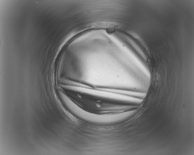 X0000080121083200612302004