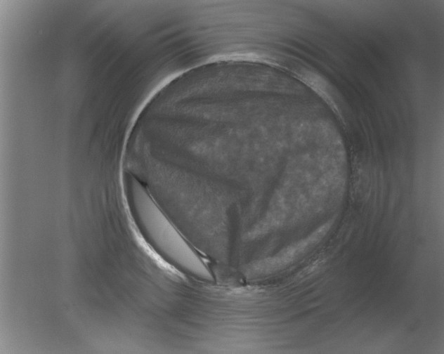 X0000080121084200612302004