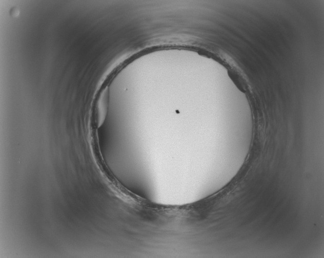 X0000080121085200612302004