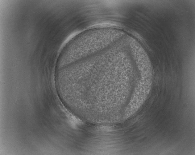 X0000080121086200612302004