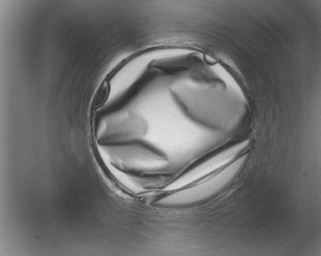 X0000080121087200612302004