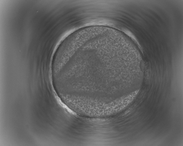 X0000080121088200612302004