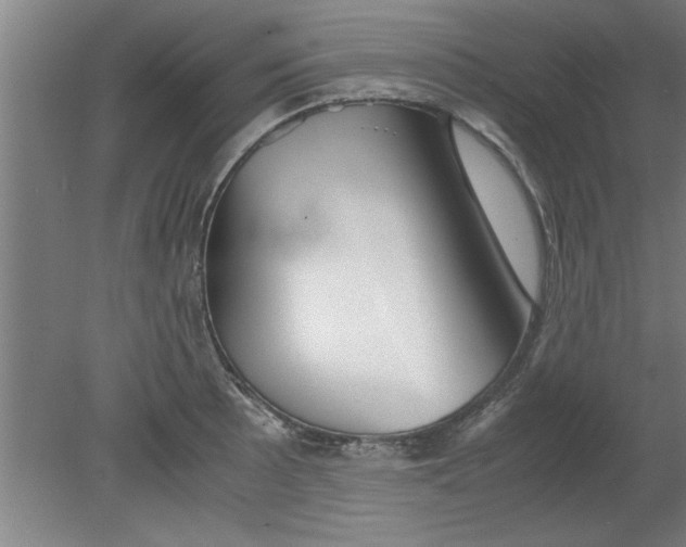 X0000080121089200612302004