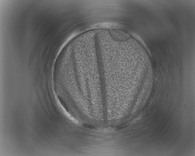 X0000080121091200612302004