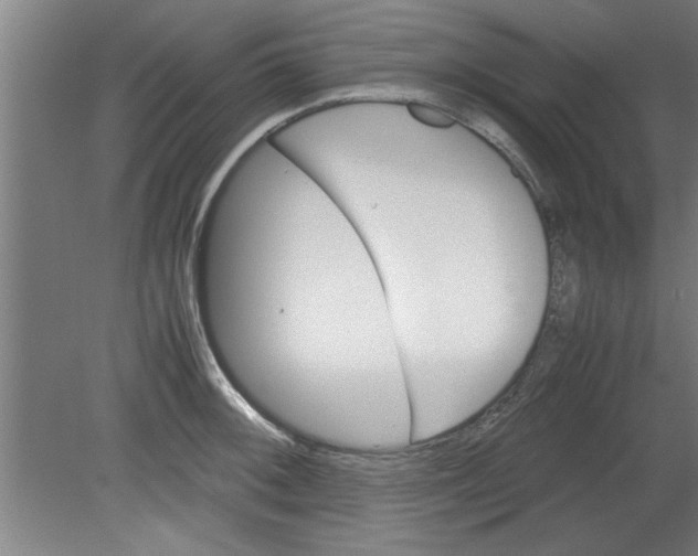 X0000080121092200612302004