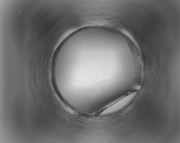 X0000080121093200612302004