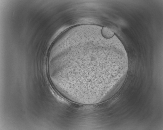 X0000080121094200612302004