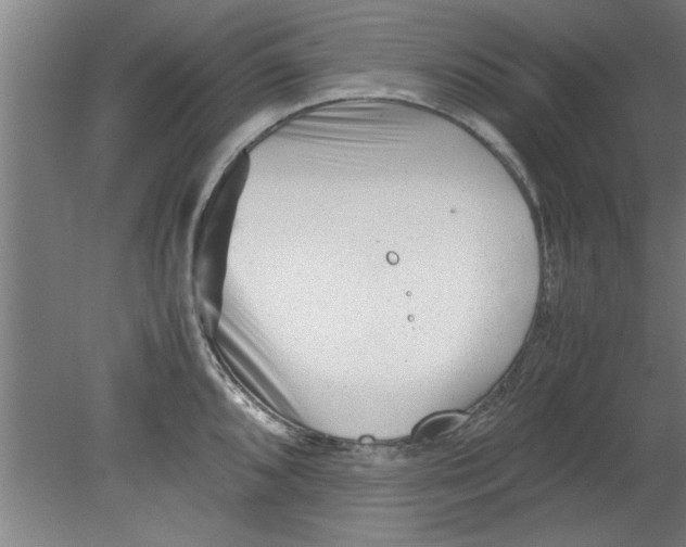 X0000080121096200612302004