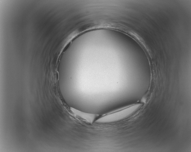 X0000080121097200612302004