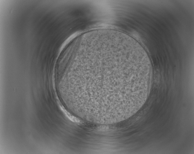 X0000080121098200612302004