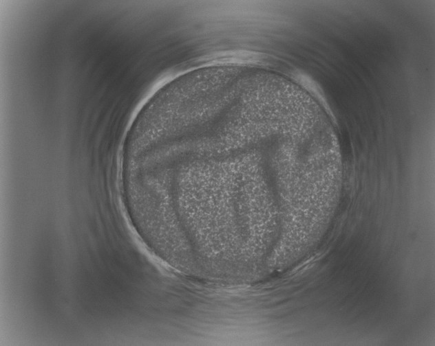 X0000080121099200612302004