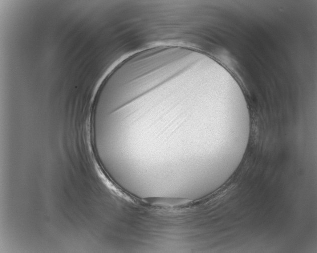 X0000080121100200612302004