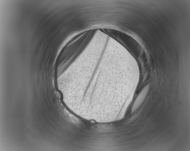 X0000080121102200612302004