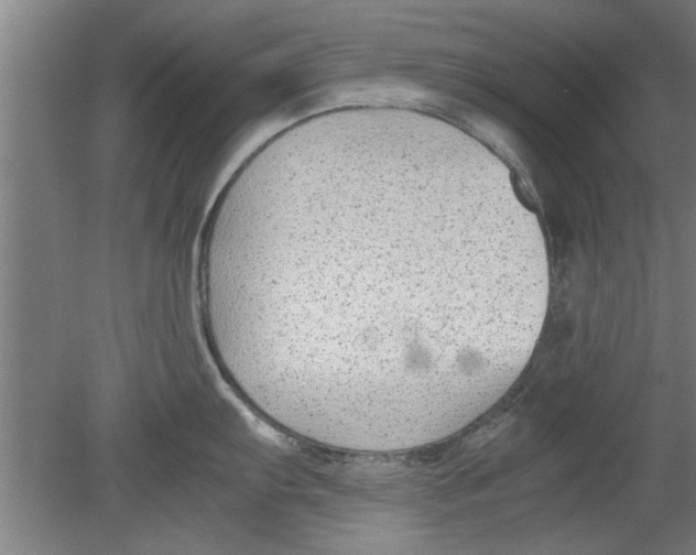 X0000080121103200612302004