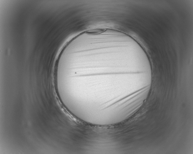 X0000080121104200612302004