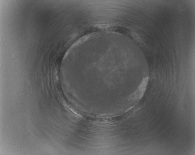 X0000080121106200612302003