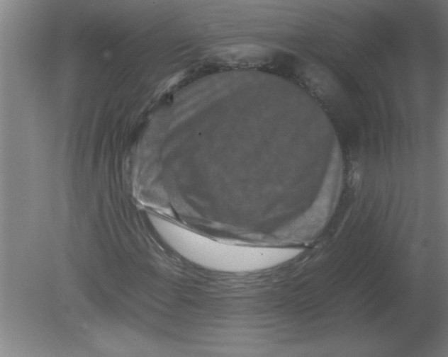 X0000080121108200612302003