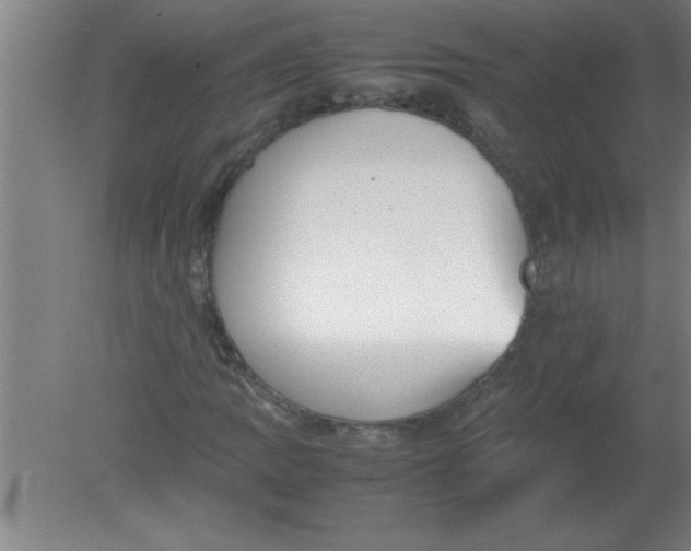 X0000080121109200612302003