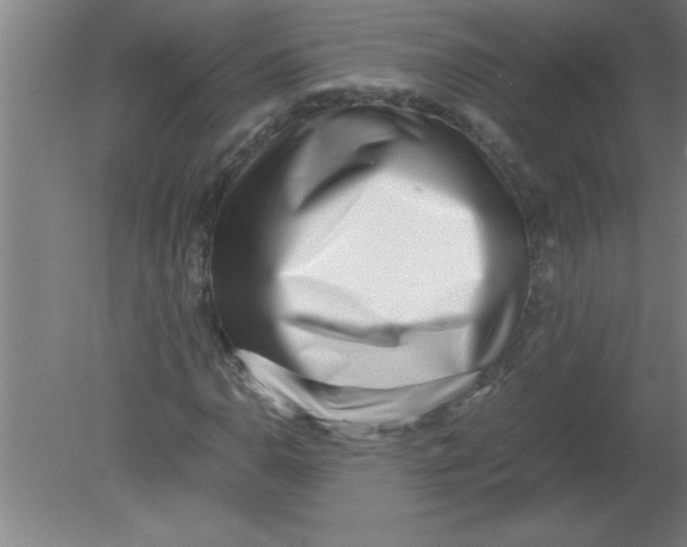 X0000080121110200612302003