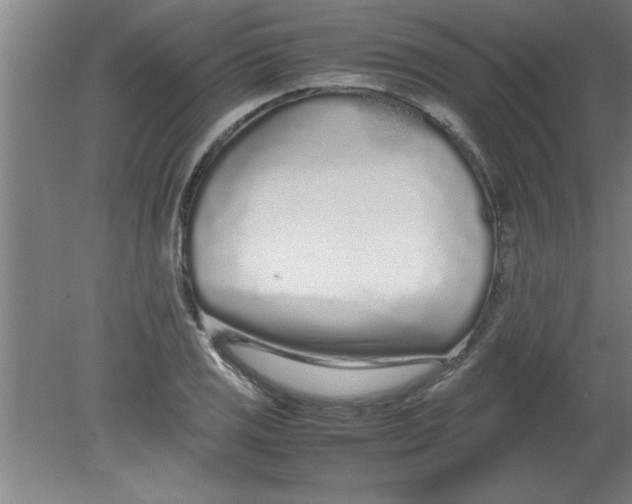 X0000080121125200612302003