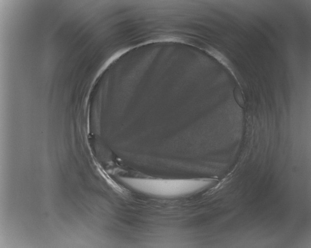 X0000080121127200612302003