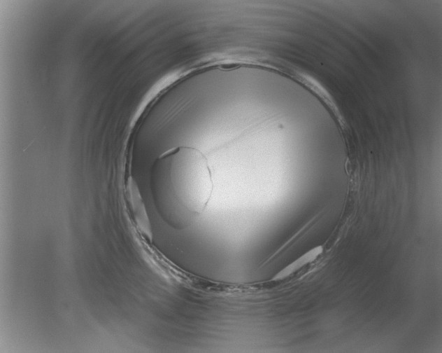 X0000080121146200612302003