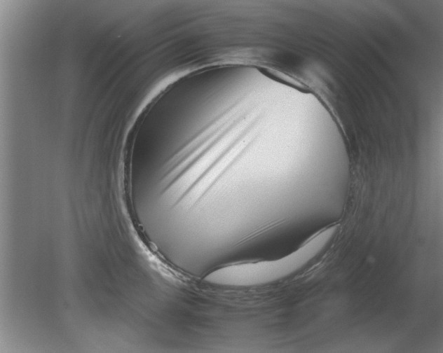 X0000080121147200612302004